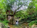 Abandoned thai temple HK