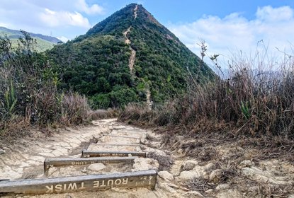 Needle Hill hiking trail with old signs used as stairs